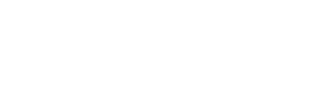 Indevix - IT Services & Web Development Company Logo